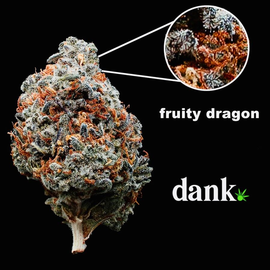 Fruity Dragon 2.0 • NEW Re-Release!