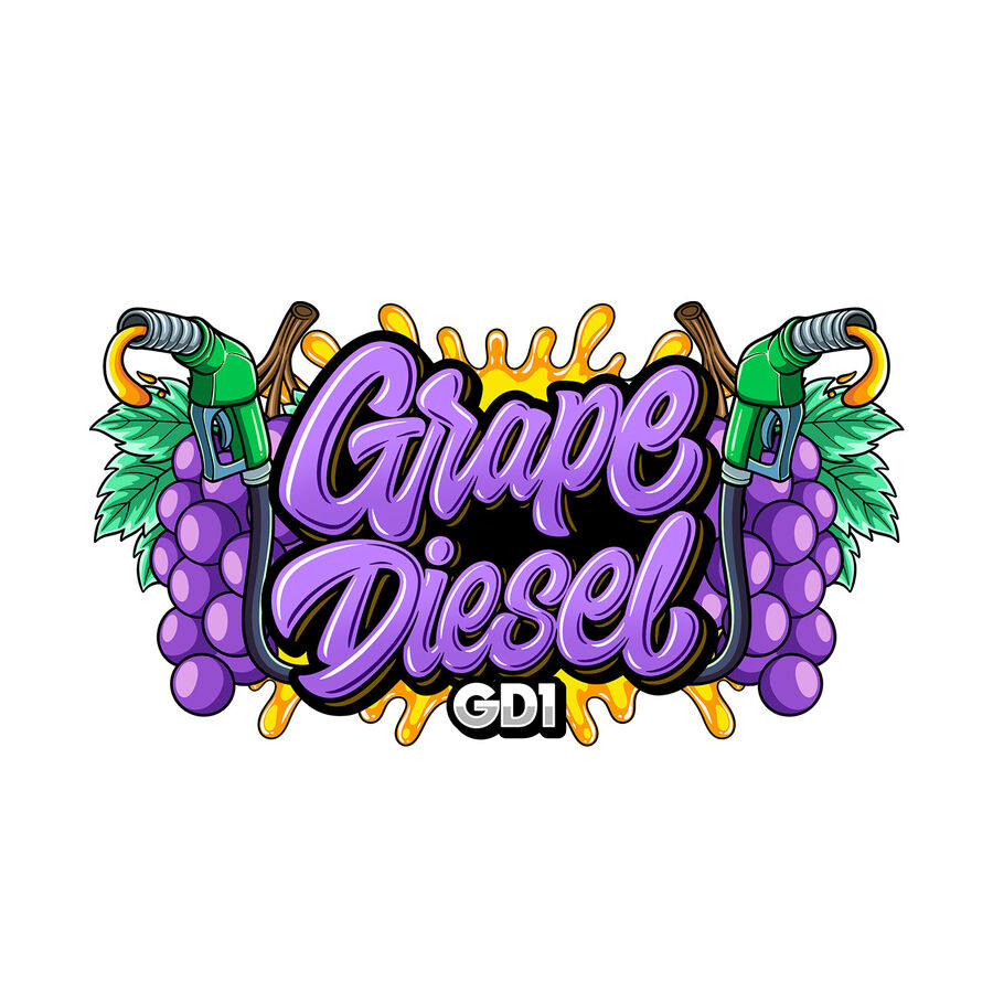 Grape Diesel (GD1) | Cannabis Seed For Sale | Buy Marijuana Seed