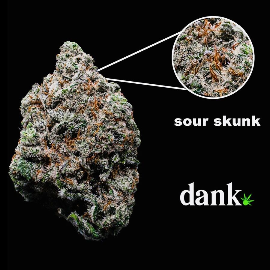 Sour Skunk 3.0 | Cannabis Seed For Sale | Buy Marijuana Seeds